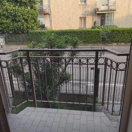 C&y Torelli نوفارا